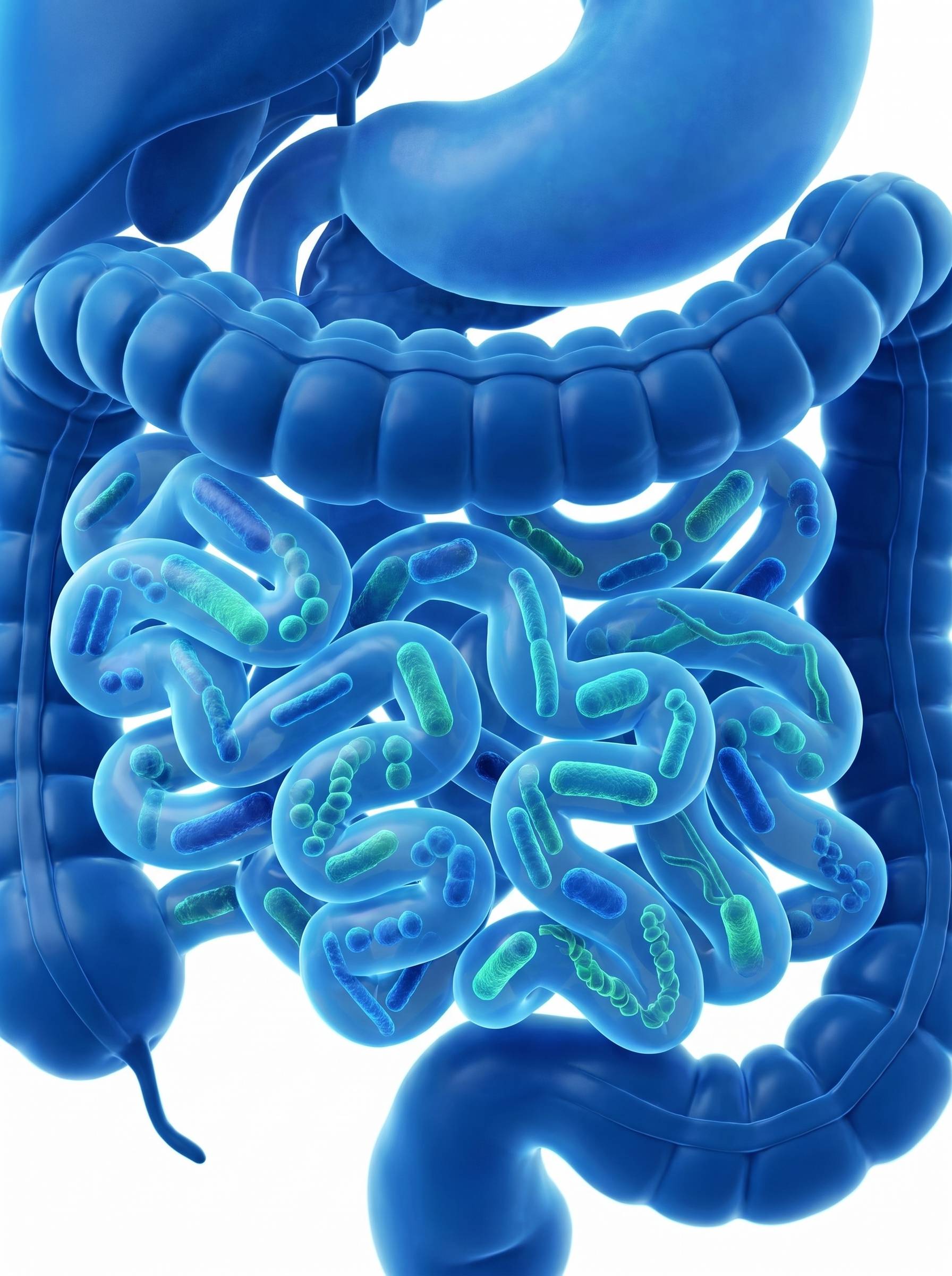 Small Intestinal Bacterial Overgrowth (SIBO) test