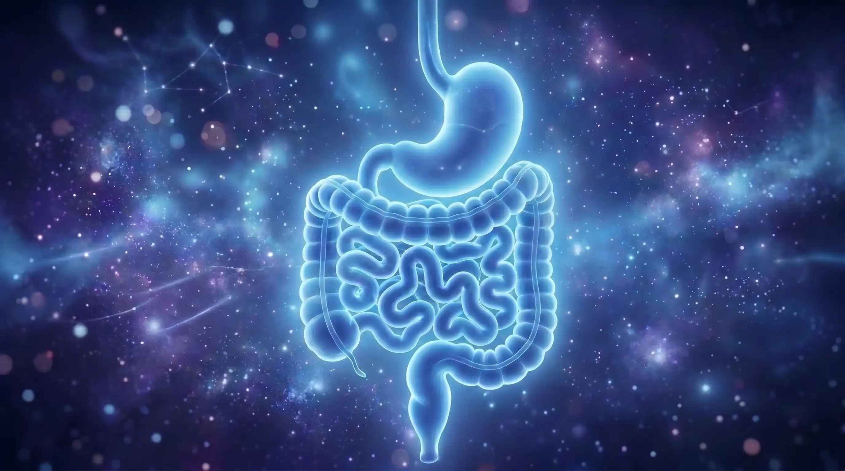 Gut Health